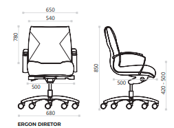 Cadeira Ergon Diretor com Base Giratória 